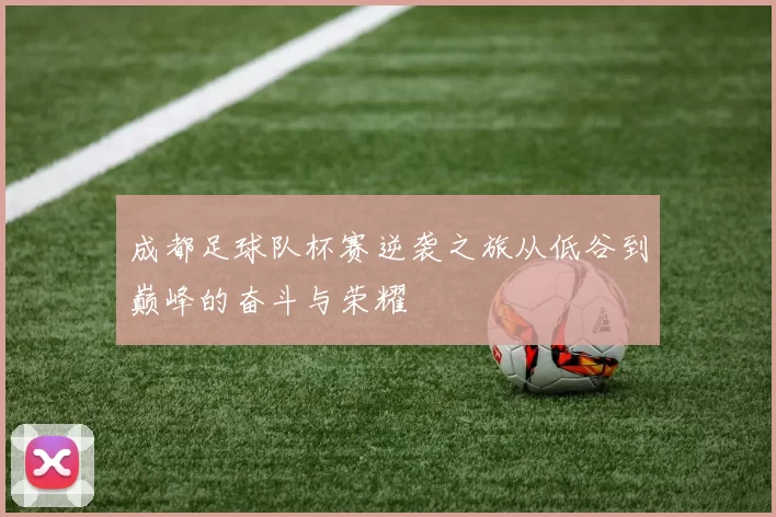 成都足球队杯赛逆袭之旅从低谷到巅峰的奋斗与荣耀